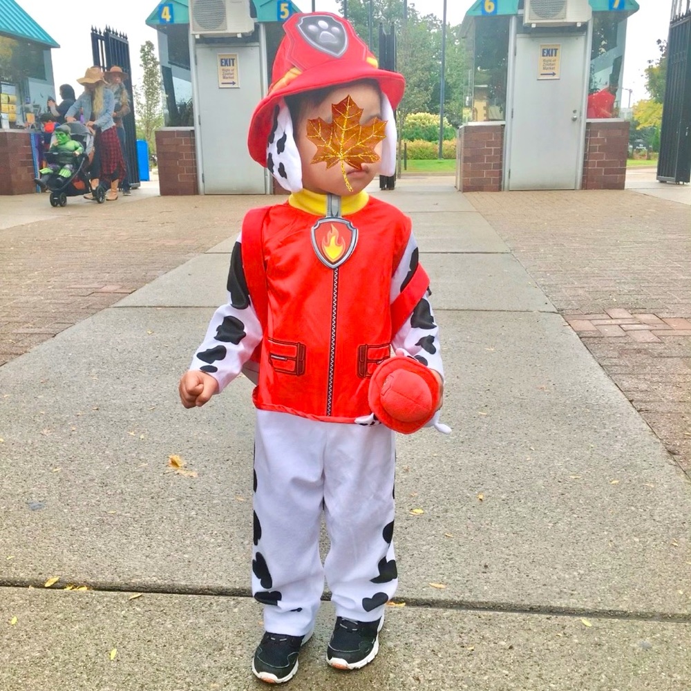 Toddler Marshall Paw Patrol Costume